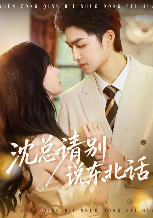 沈总请别说东北话(全集)