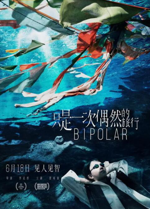 只是一次偶然的旅行(全集)