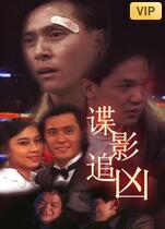 谍影追凶(全集)