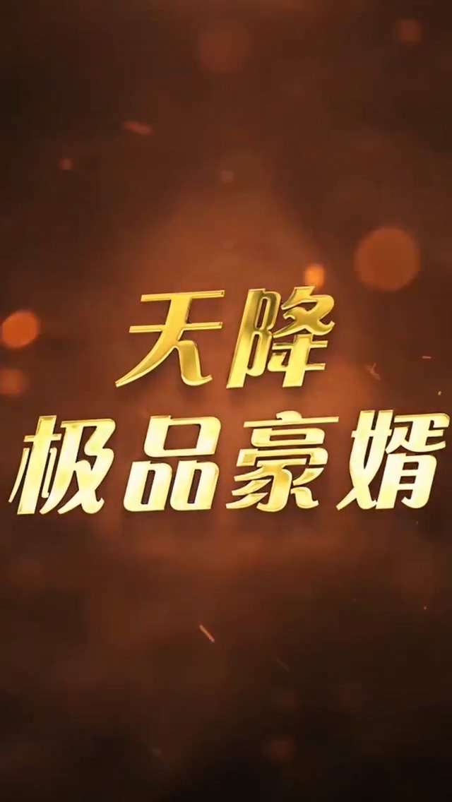 天降极品豪婿第63集