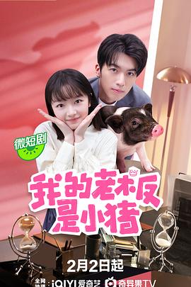 我的老板是小猪第08集