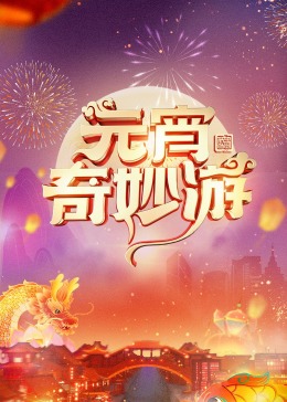 2024河南元宵奇妙游(大结局)