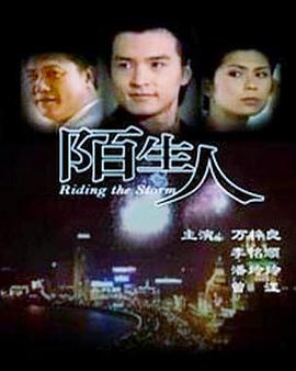 陌生人1999第04集