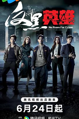 反黑英雄粤语第14集
