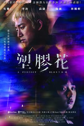 塑胶花第07集