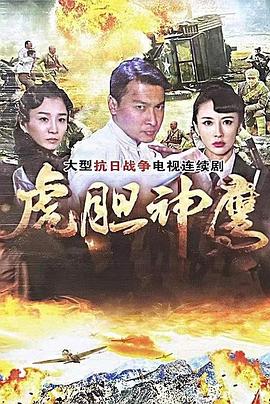 虎胆神鹰第31集