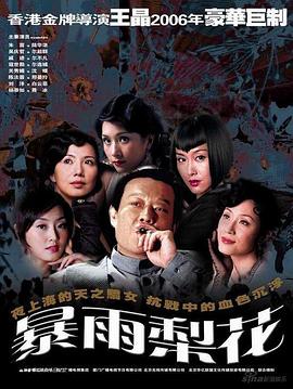 暴雨梨花第22集