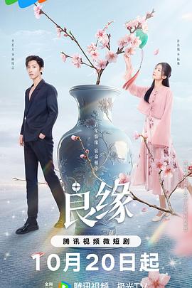 良缘第11集