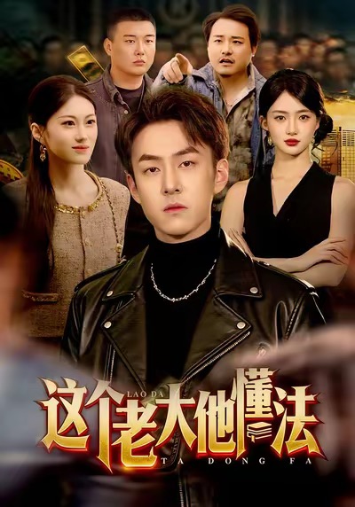 这个老大他懂法(全集)